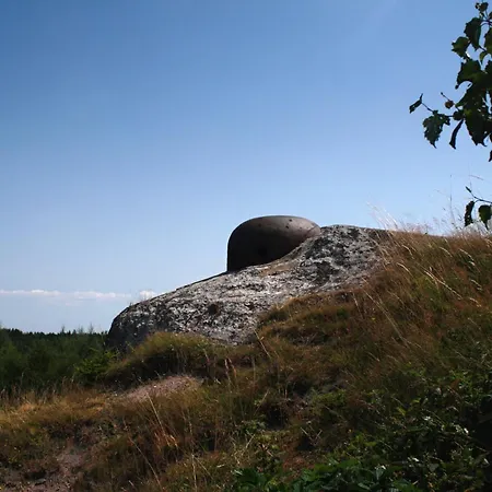 Stara Skola Misov