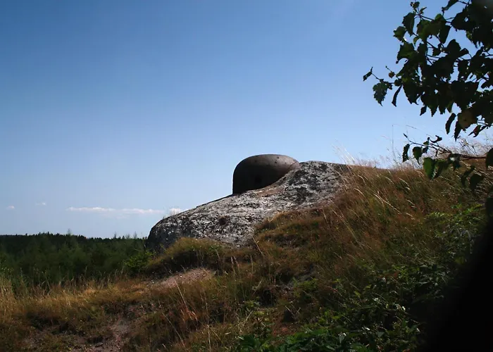 Stara Skola Misov