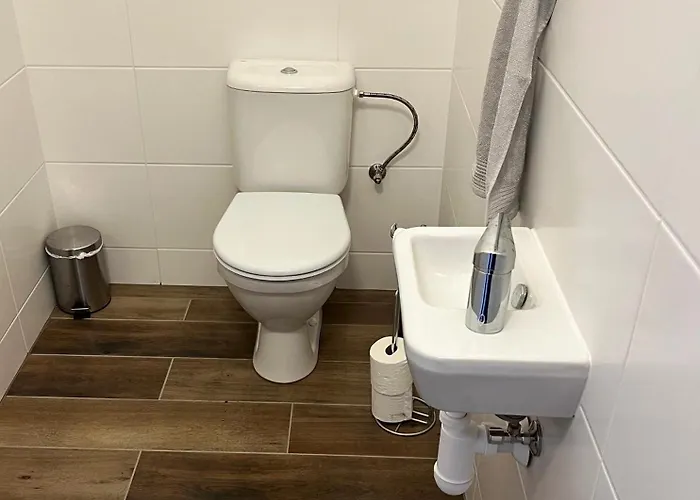 Stara Skola Misov